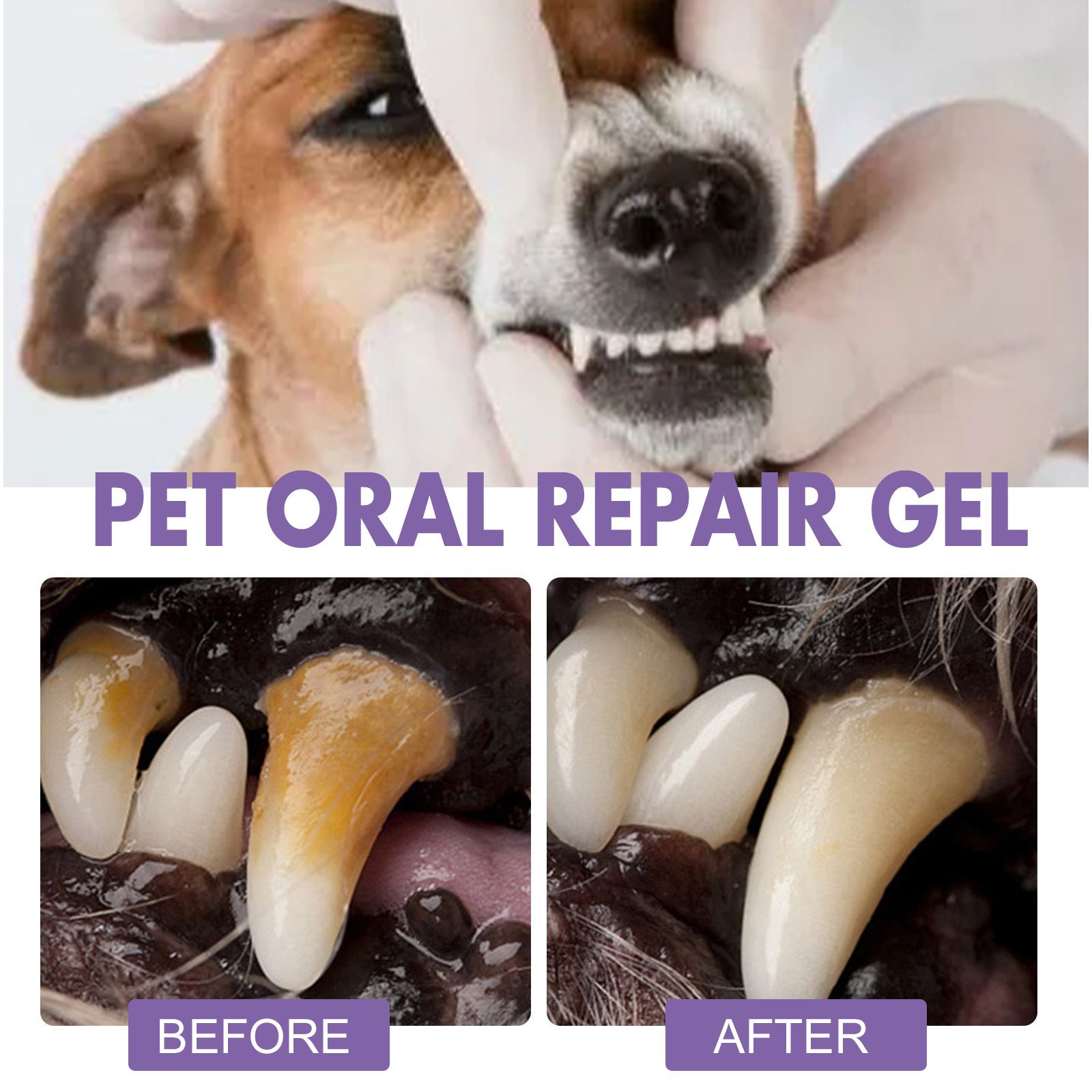 Pet Oral Repair Gel Puppy Tart - đánh giá và giá Teeth Whitening Paste