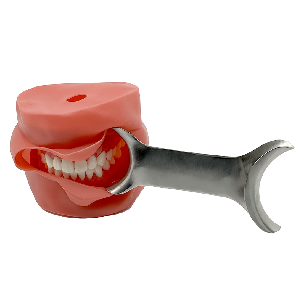 3pcs Autoclavable T-Shape Retr - đánh giá và giá Teeth Whitening For Photos