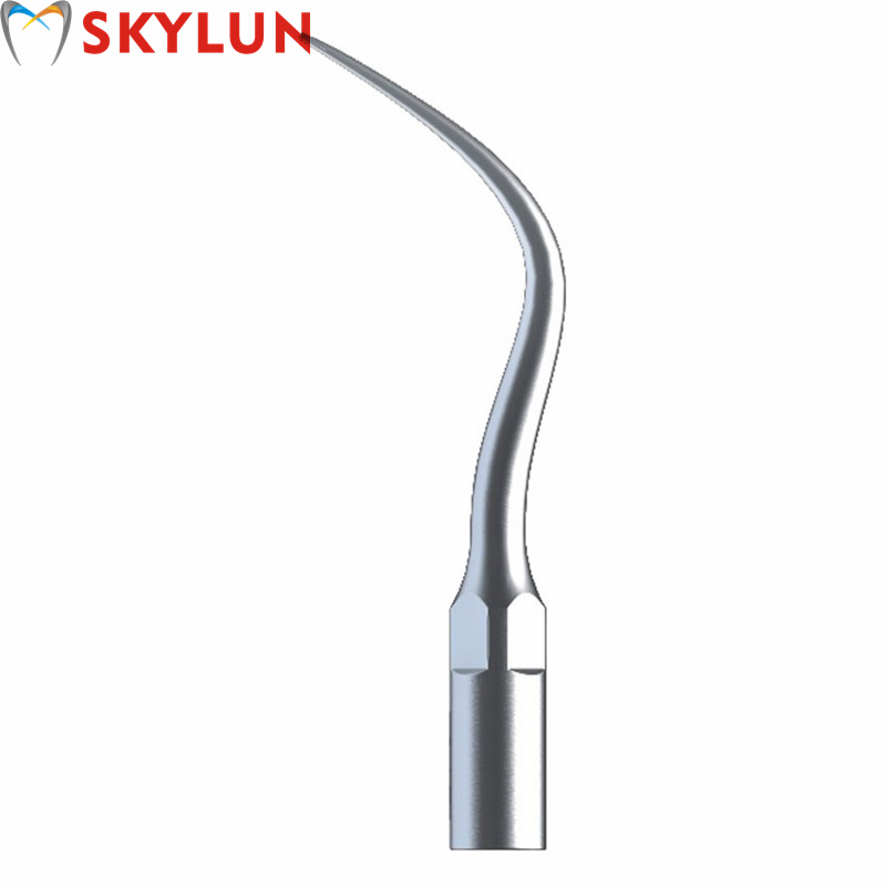 5PCS P4 Dental Ultrasonic Scal - đánh giá và giá Teeth Whitening Professional