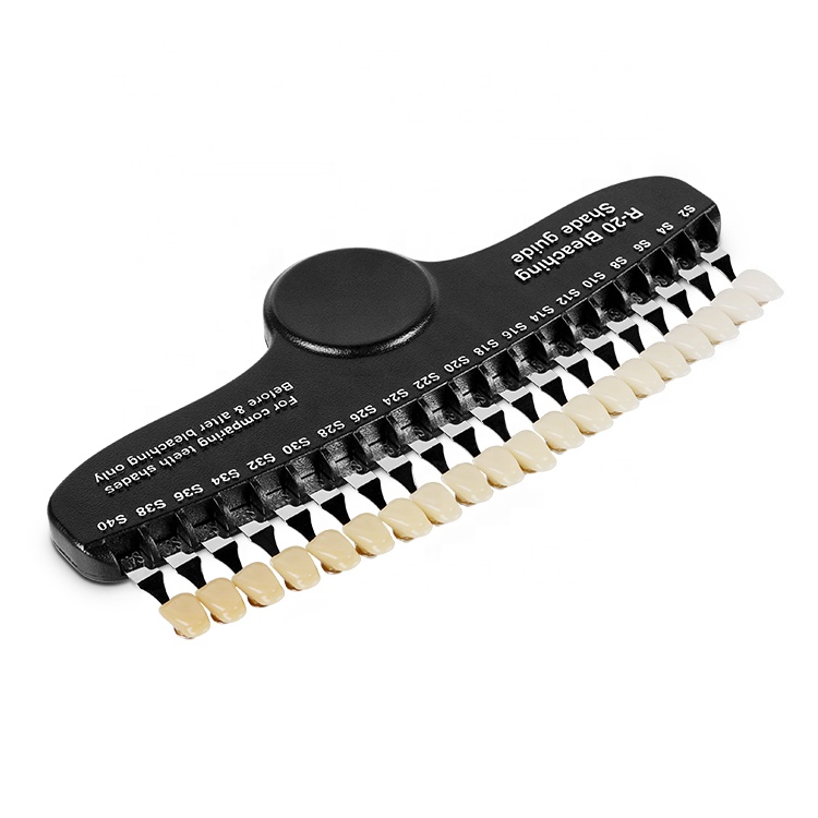Professional 20 Colors Dental  - đánh giá và giá Teeth Whitening Professional